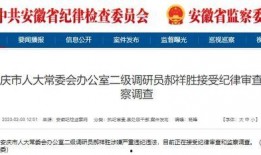 江西省媒体最新爆料消息,揭秘某重大事件背后真相